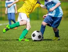 湖人队东契,奇斯洛文尼,亚赛程出场,28圈网页版,28圈网页版官网,28圈H5网页版,28圈app官网进入