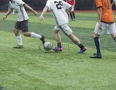 体育,快讯,日体育焦点,28圈网页版,28圈网页版官网,28圈H5网页版,28圈app官网进入