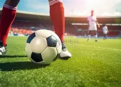 圈网页版,资讯,28圈网页版,28圈网页版,28圈网页版官网,28圈H5网页版,28圈app官网进入