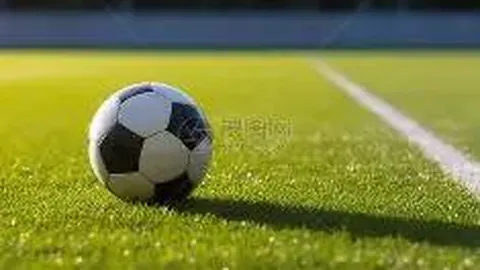 2025山东男篮联赛10月开赛，篮球人才培育基金同步启动