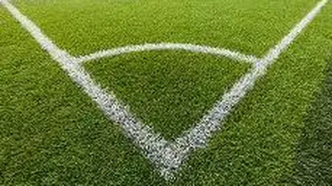 28圈网页版 产品 113238 50p