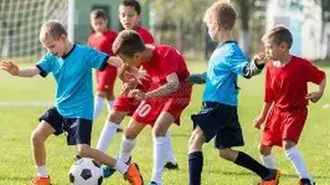 28圈网页版 产品 100316 z59