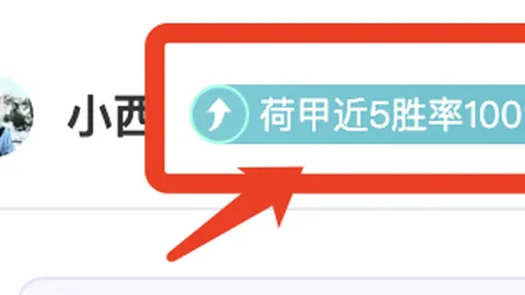 东契奇：赛事感受难以言喻，迫切希望速速安睡